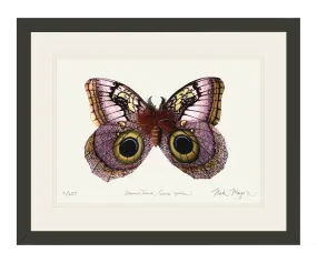 Owl Butterfly I Print